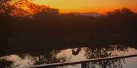 Reflections @ Royal Jozini in Eswatini. Image: Beate Kleim
