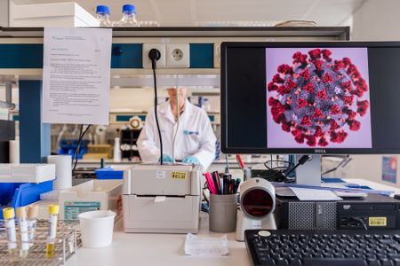 Republican report on Covid origins pushes lab leak hypothesis