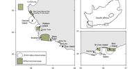 The Island Closure Experiment prohibited purse-seine fishing around two pairs of penguin breeding islands: Dassen and Robben islands on the West Coast and St Croix and Bird islands in the Eastern Cape for over a decade. (Credit: Professor Andre Punt)