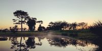 Mist rising off the water 