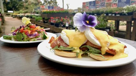 Not-so-secret gardens, hidden gems and edible delights