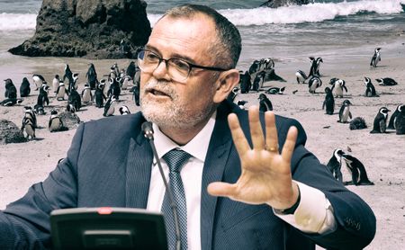 Environment Minister Dion George axed, despite ‘doing my job without fear, favour or prejudice’