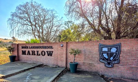 How a typing error exposed alleged R600,000 fraud in Nxuba school fundraising