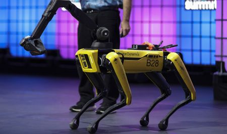 Bark versus bite: Choosing a name for a US robotic dog doing research in Africa