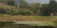 Cathkin Peak from Champagne Valley. Photographer: Alison Wilson</p>
<p>P4U_readersubmission_20250314