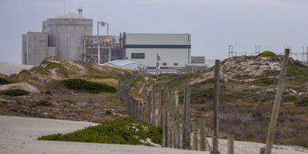 Electricity Minister Ramokgopa ‘extremely upset’ over delays at Koeberg