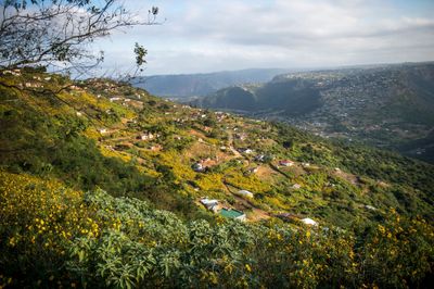 Inanda’s healing landscape still hides deep trauma after devastating floods