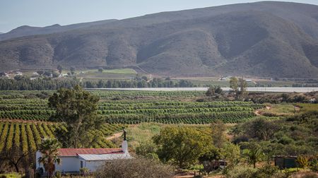 Foot-dragging on land reform and hiding behind legal machinations is getting us nowhere, fast