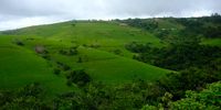 How green is my valley. A road trip round South Africa during the festive period, showed how luridly green the country is (mostly). This image was taken in the Transkei. Image: Hugh Fraser
