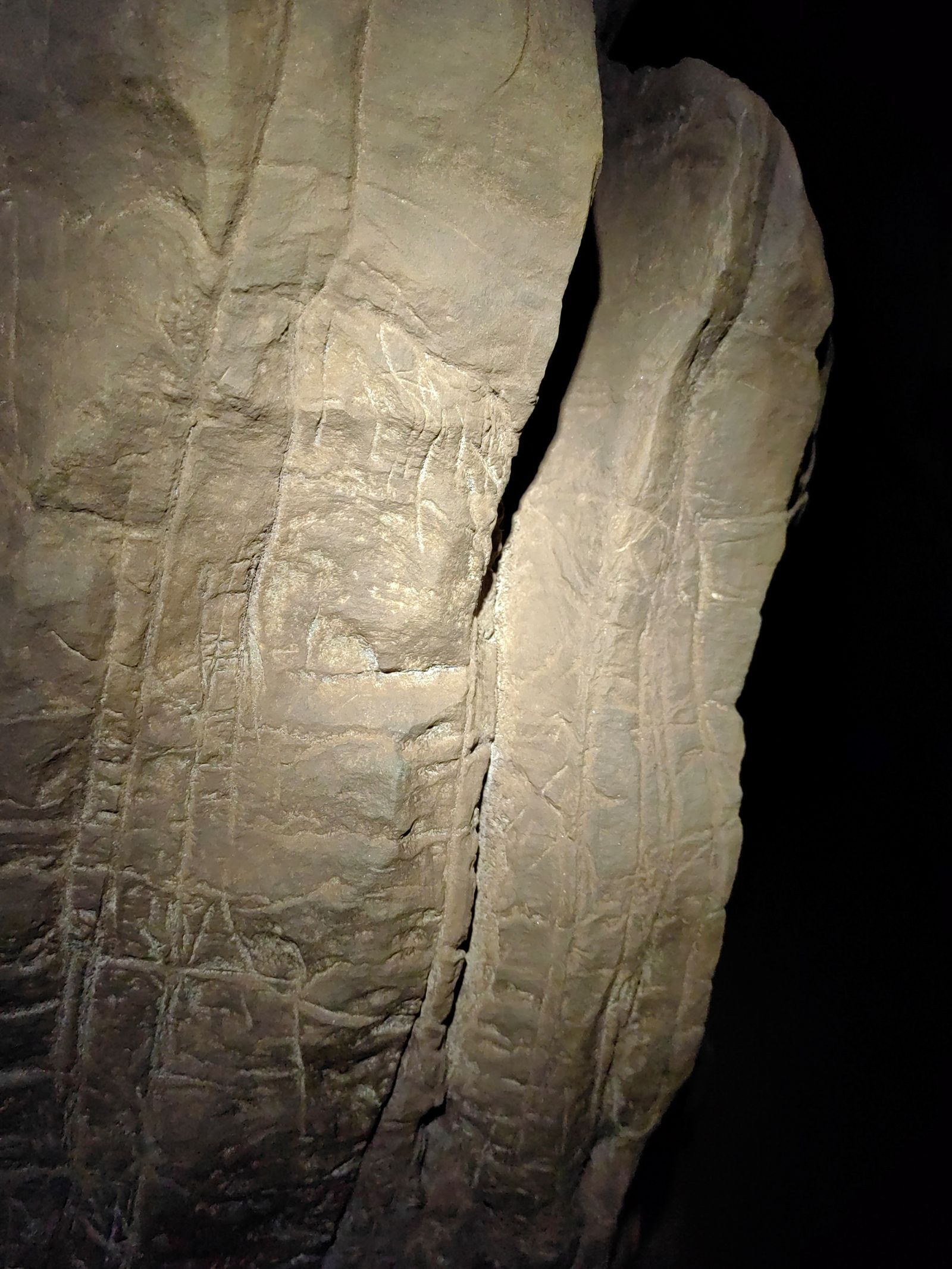 Scientists discover burials, symbols by extinct species in Cradle of ...