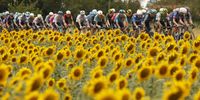 From mountain passes to Paris: Scenes from the 2026 Tour de France