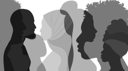 The watchdogs of democracy – the vital role of SA’s state institutions