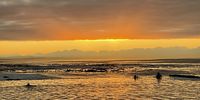 Swimmers watch the sunrise in Kalk Bay. Image: Dirk Pieters