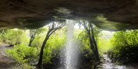 The 'shower' inside Grindstone Cave. Image: Mark Heywood