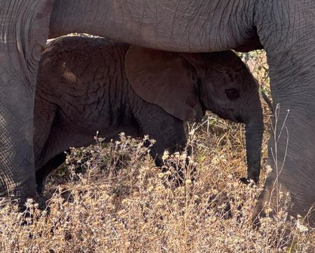 I have a picture for you! 17 May-23 May 2025