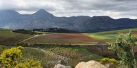 The rich soils of the Winelands. Photographer: Danie du Plessis