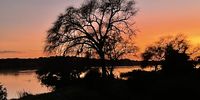 Sunrise on the Chobe River at Kasane. Image: Steve Johnson.
