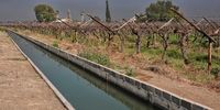 The canal system that brings water to the farms from the Orange River. (Photo: Chris Marais)