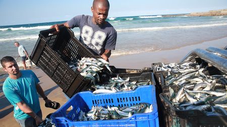 Blue Economy: Mariculture is not the panacea some believe it to be