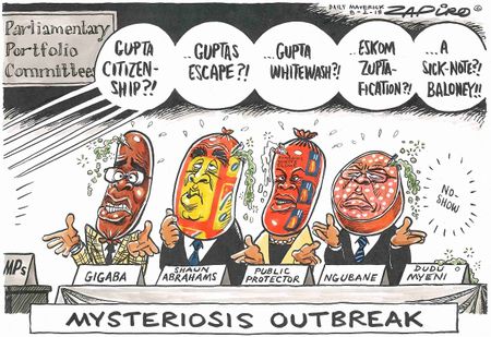 Mysteriosis outbreak