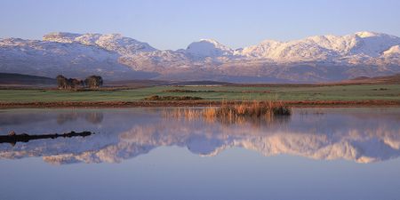 Unique fauna and flora under siege on South Africa’s west coast