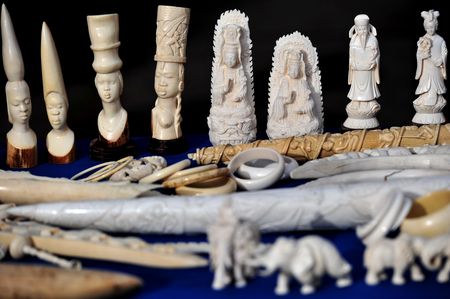 The sad truth is, most humans don’t give a damn about nature