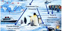 Don-Antarctica tourism
