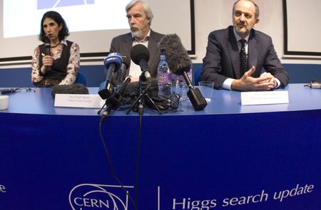 Higgs boson: What's mass got to do with it, anyway?