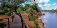 Kruger floods 2 KNP-2