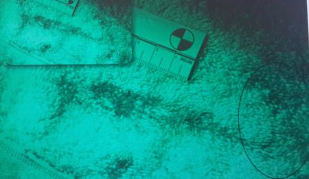 Hitchens's razor: Amateur sleuths present compelling new evidence in Inge Lotz case