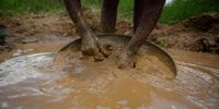 An artisanal miner sifts through ore powder for gold particles at a river bed on 8 March 2021 in Banket, Zimbabwe. (Photo: Tafadzwa Ufumeli / Getty Images)