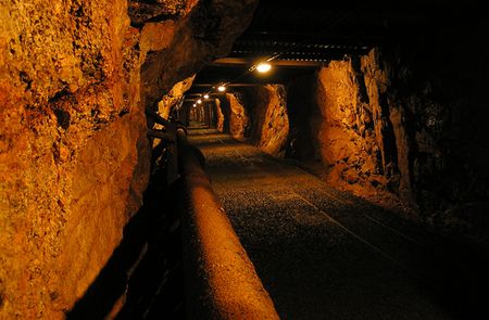 Anglo sheds some weight