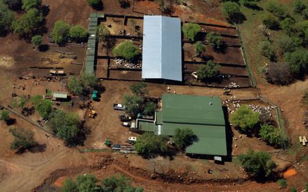 Title deeds may be key to unlocking SA agriculture’s full potential