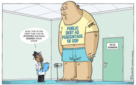 Big Beautiful Mini Budget