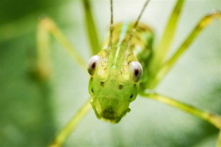 World Environment Day celebrations, and more from around the globe