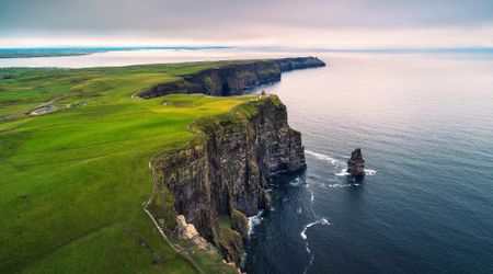 New UN biodiversity agreement aims to slash global food waste by half