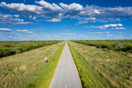 Africa’s expanding road network may significantly impact multiple ecosystems —  we reviewed the evidence