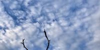 Winter Sky - Limpopo. Image: Martin Scholtz 