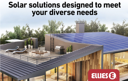 Ellies’s power play flops, forces electronics group into business rescue