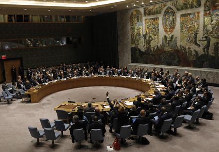 Niger in the hot seat at the UN Security Council