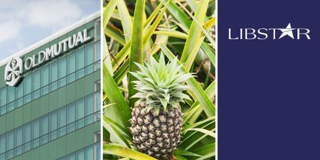 The Finance Ghost: Fixer-uppers — companies with work to do