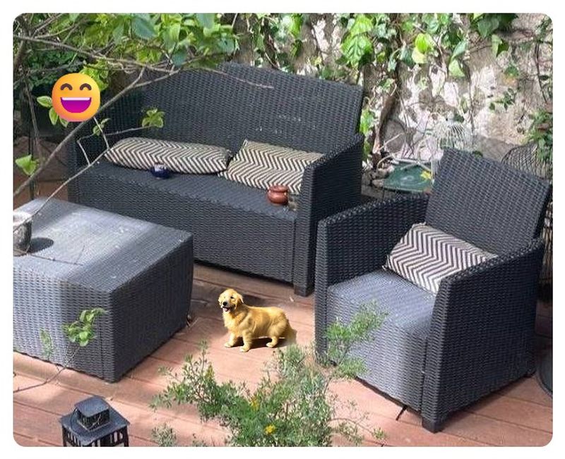 This is a test article