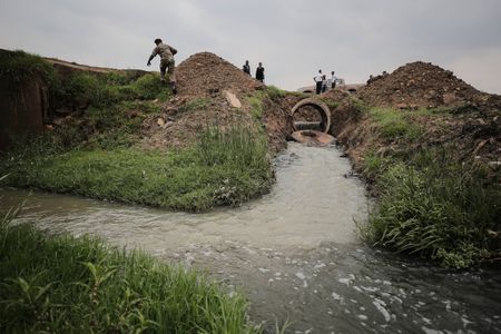 South Africa’s once-abundant yellowfish are being wiped out by acid water, sewage and invasive species