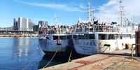 Japanese fishing boats in Cape Town Harbour. (Photo: Don Pinnock)