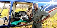 Former ‘crown prince of the Kruger’ Park found guilty of rhino poaching