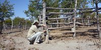 Peter Apps setting up a dispenser housing at a subsistence plot. (Photo: Supplied)