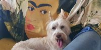 Frida and Bennie. Image: Neels du Plooy