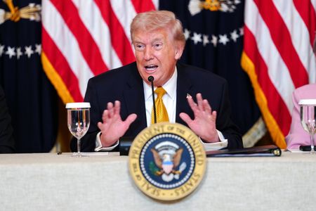 Trump upset as key US partners shun call for Hormuz warship escorts