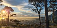 Signal Hill views over Cape Town.