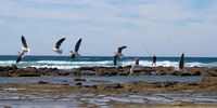  Fishers in Sodwana. Image: Claire Martens